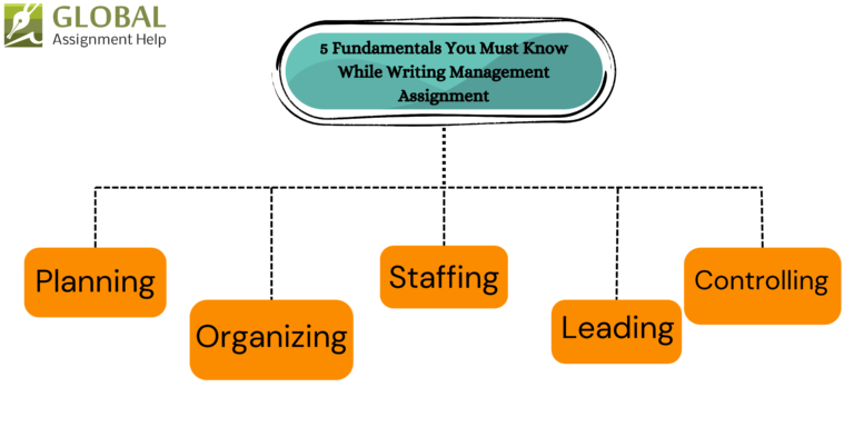 5 Fundamentals You Must Know While Writing Management Assignment