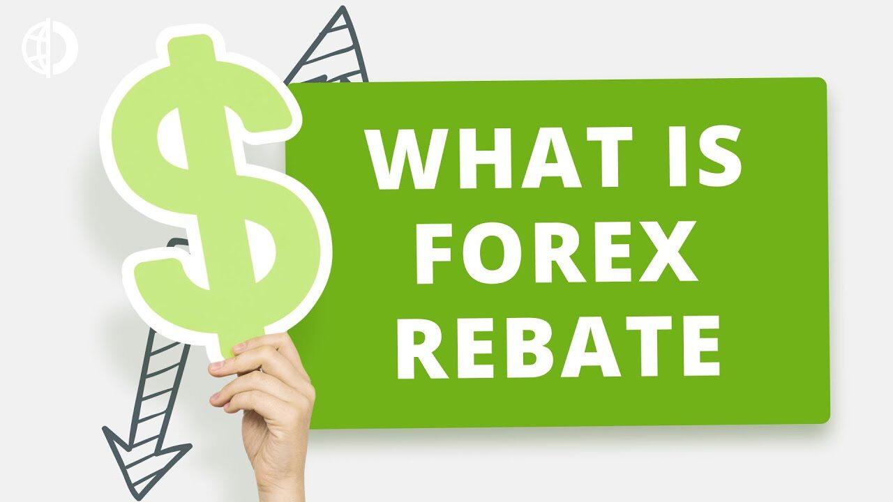 Forex Lot Rebates