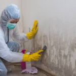 Mold Restoration Services in Chesterfield