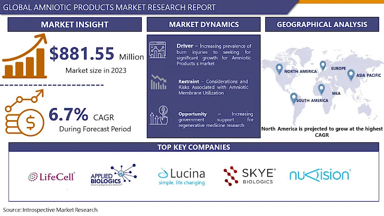 Amniotic Products Market