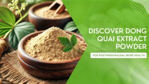 Dong Quai Extract Powder: A Natural Ally for Bone Health