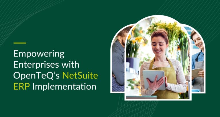 NetSuite ERP Implementation