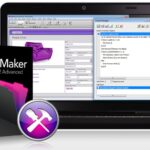 Filemaker Developer