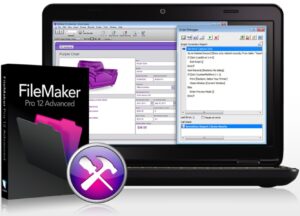 Filemaker Developer