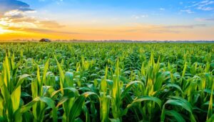 Global Crop Production Market