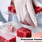 Global Precision Fermentation Market