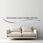 professional couch cleaning services