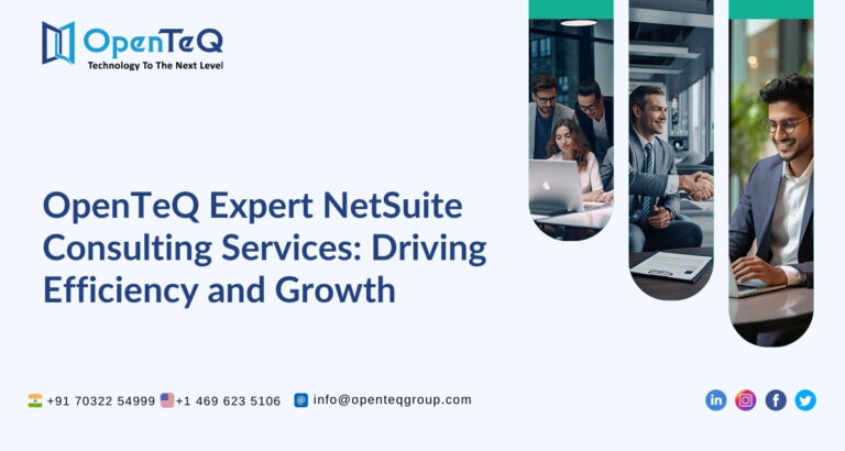 OpenTeQ Expert NetSuite Consulting Services