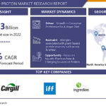 Plant-Based Protein Market