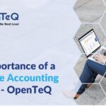 NetSuite Accounting Partner