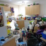 Professional Hoarder Cleanup