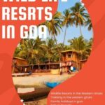 Family holidays in goa