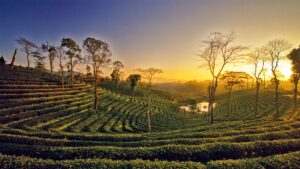 Best places to visit in Assam