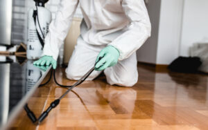  Pest Control Tips for New Homeowners – Keeping Your Home Pest-Free 