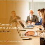 NetSuite Consultation