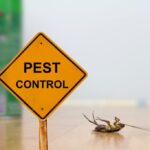 pest control