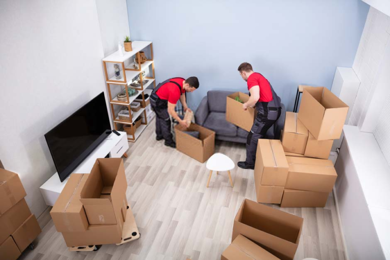 The Benefits of Choosing Professional Removals in London