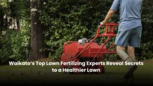 Lawn fertilizing