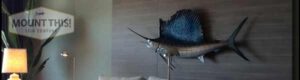 75-inch-sailfish-mount-2