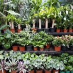 Nursery De Pere