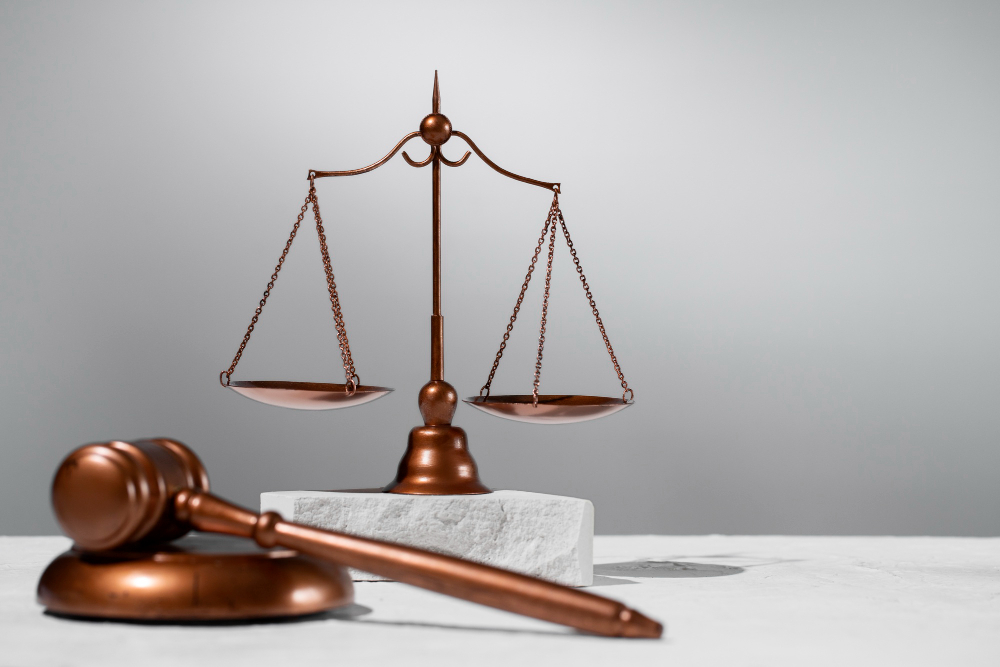 The Role of a Supreme Court Advocate in Delhi Explained by a Senior Supreme Court Lawyer