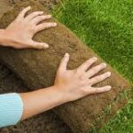 Turf Installation Service New York