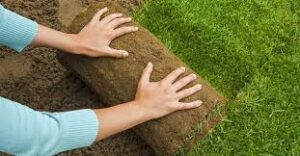 Turf Installation Service New York