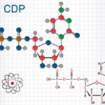 Why-Clear-Structure-Builds-Strong-CIPD-Assignments.