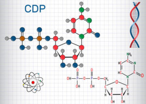 Why-Clear-Structure-Builds-Strong-CIPD-Assignments.