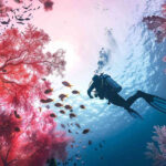 Why Taking a Scuba Diving Course on Vacation Makes Sense