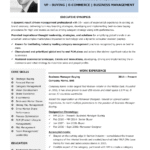 Which CV Format Is Best in Dubai?