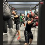 fight shop image clf.