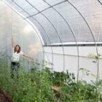Best Greenhouse Plastic For Winter