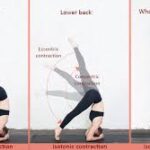 yin yoga vs vinyasa