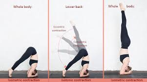 yin yoga vs vinyasa