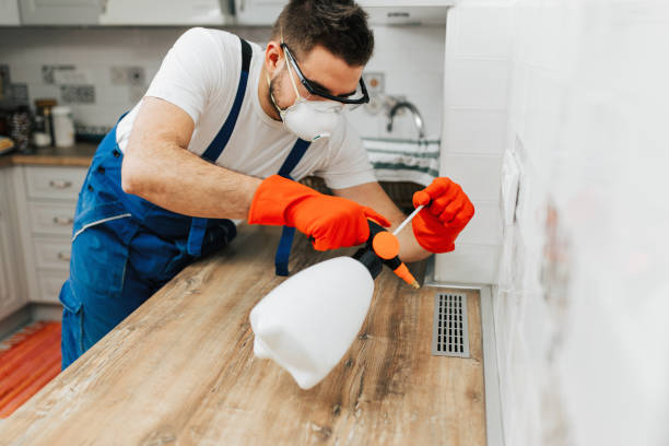 Licensed Pest Control Vancouver