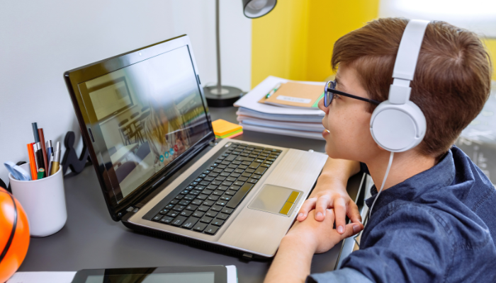 best Online Dutch Course