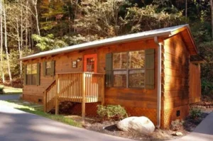 pet-friendly cabins