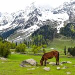 praneet-kumar-H8dcf-v98mA-unsplash
