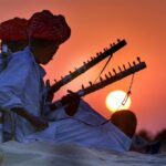 1 day jaipur elephant safari tour