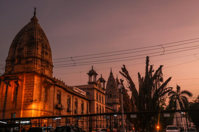 vardhan-halwai-Q0ENfyrDRM0-unsplash (1)