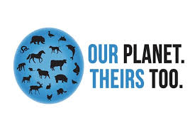 Animals rights