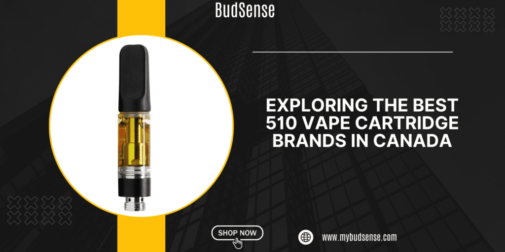 best 510 vape cartridge