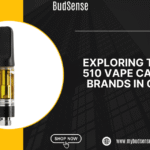 best 510 vape cartridge