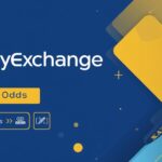 Desktop monitor showing Skyexchange agent dashboard with market depth, bet logs, and real‑time match feed.