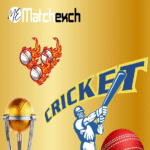 The Rise of Digital Sports Platforms Like Matchexch9
