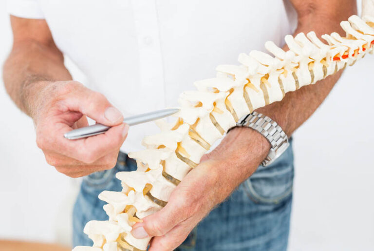 Orthopedic-Surgery-Spine-Bone