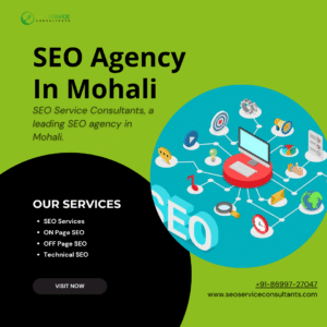 SEO Agency in Mohali