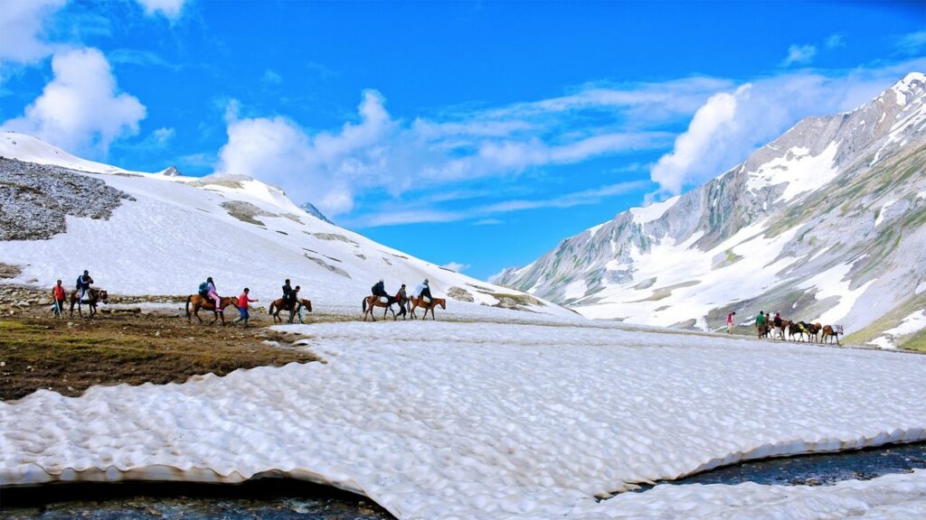 Tour Packages in India