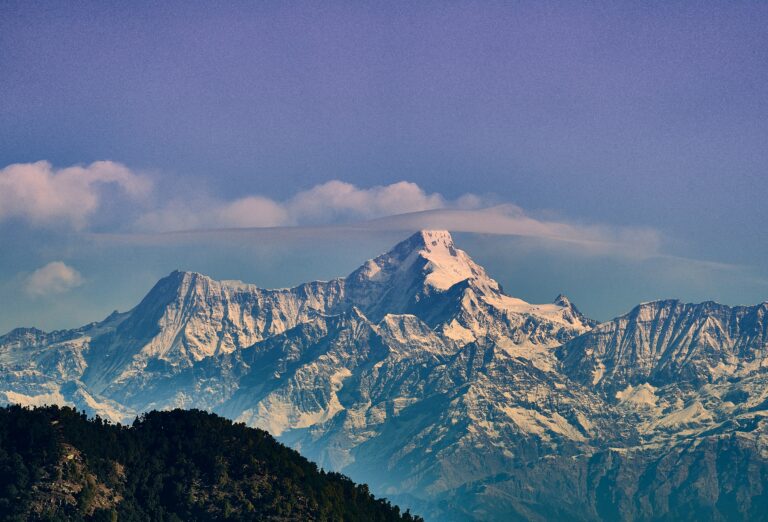 ashwini-chaudhary-monty-gkIXFjDRyDc-unsplash